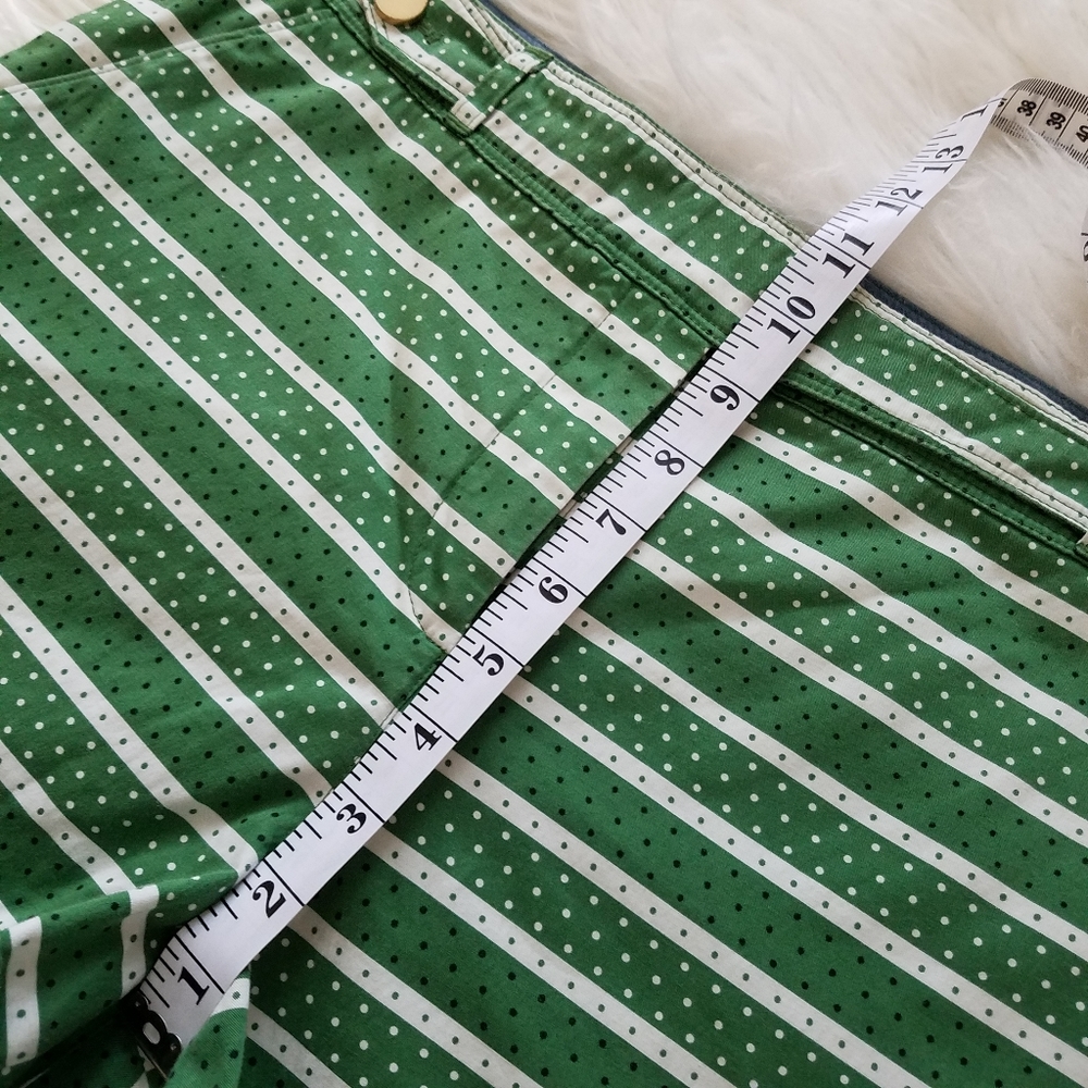 Anthropologie Meadow Rue Madison green striped shorts - Picture 9 of 10